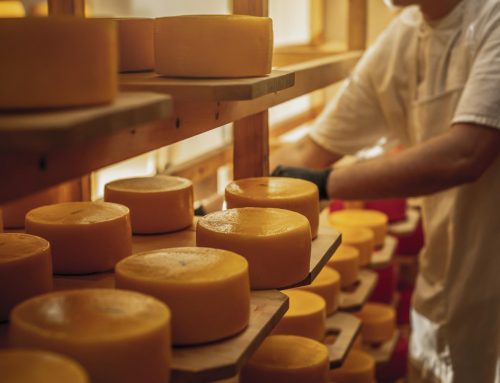 A importância da maturação dos queijos